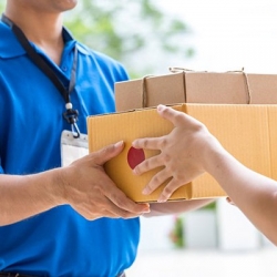 Express Import Services in Najafgarh